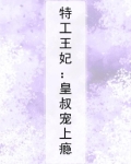 皇叔宠上瘾全文免费阅读