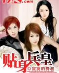 贴身兵皇TXT下载