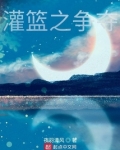 灌篮之争夺