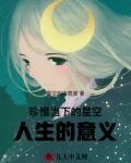 珍惜当下的星空，人生的意义