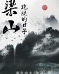 我在梁山跑腿的日子晋江