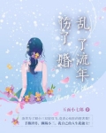 乱了流年伤了婚电视剧剧情介绍