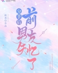 分手后前男友失忆了书包网