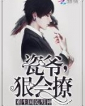 重生国民男神：瓷爷，狠会撩！