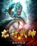 龙符武神笔趣阁