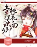 幸得识卿桃花面全文阅读