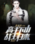 高手下山战王归来张楚