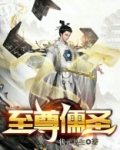至尊儒圣沈辰安免费阅读