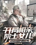 开局相亲院士女儿,2nm芯片做彩礼 冰山火种