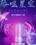 吞噬星空之血脉之路小说