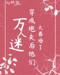 万人迷成为炮灰后