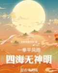 一拳平风雨四海无神明小说
