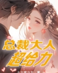 总裁大人超给力全集