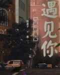 恰好的时光遇见你简谱