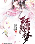 乱世红颜梦讲的是什么
