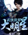 武侠世界大明星TXT下载