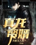 真龙赘婿韩三千免费阅读全文