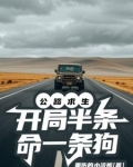 公路求生开局半条命一条狗