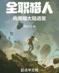 全职猎人黑暗大陆片