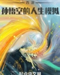 西游孙悟空的人生模拟器