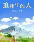 梦见大牦牛追我