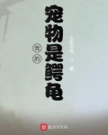 我的宠物是鳄龟