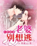 天价前妻，老婆别想逃