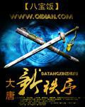 大唐新秩序小说