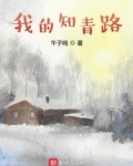 我的知青路笔趣阁