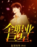 全职业巨星TXT下载奇书网