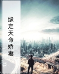 梦幻西游之缘定天命