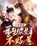 王爷宠妻:重生农妇不好惹小说