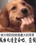 大明当崇祯