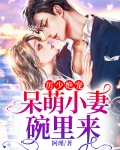 历少绝宠:呆萌小娇妻碗里来