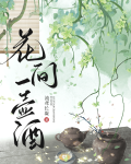 花间一壶酒歌曲