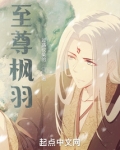 至尊羽翼