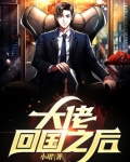 科技大佬回国