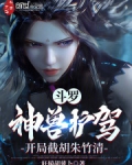斗罗开局神级兽武魂的小说