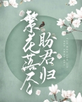 繁花落尽君如故 小说