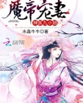 魔帝神医九小姐免费阅读全文银瓶