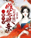 一胎八宝:腹黑娘亲天才娃全文免费阅读