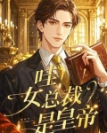 女总裁的上一句