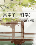 宗室子科举小说