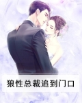 狼性总裁追上门免费阅读