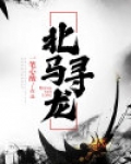 北派寻龙往事