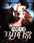闪婚夫妻宠娃日常免费阅读