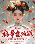 福晋四爷小说