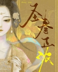 圣眷正浓小说婉芙