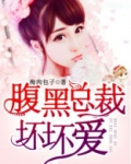 腹黑总裁坏坏爱简悦凌司夜