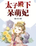 太子殿下呆萌妃TXT